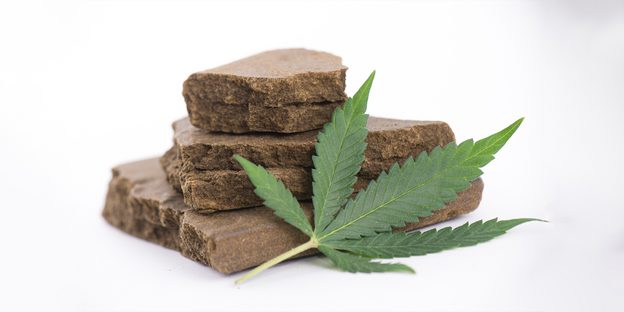 Tilsyneladende Sporvogn Trivial What Is Hashish? Overview, Risks, and Potential Benefits