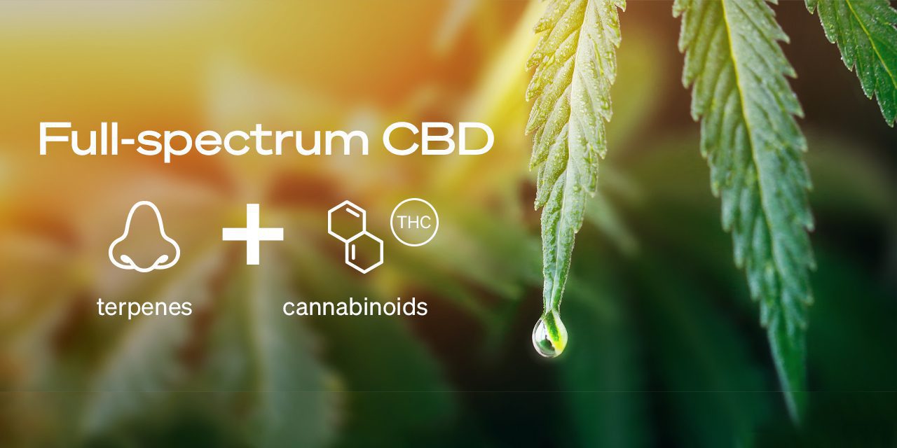 dewdrop on marijuana leaf and formula of full-spectrum CBD