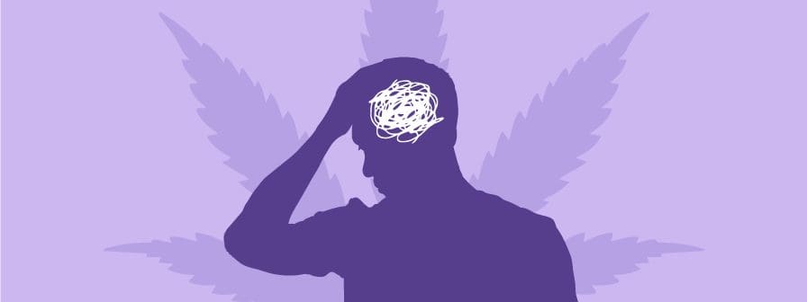 The best cannabis strains for anxiety