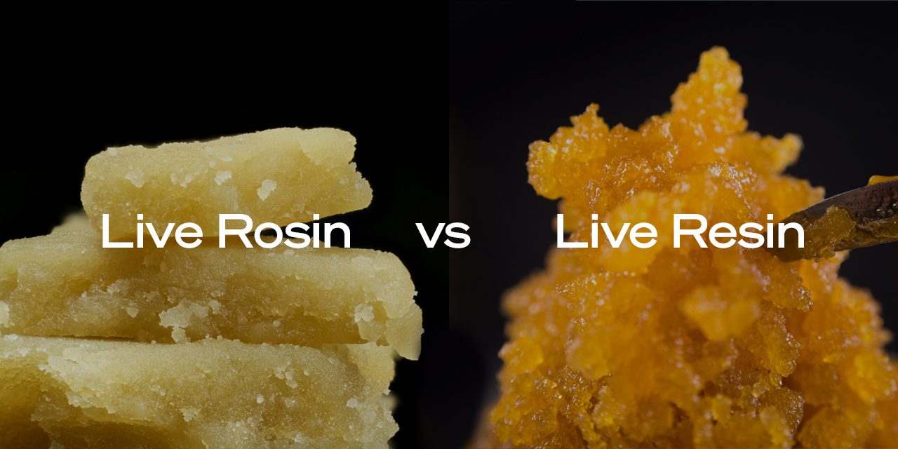 live rosin and live resin