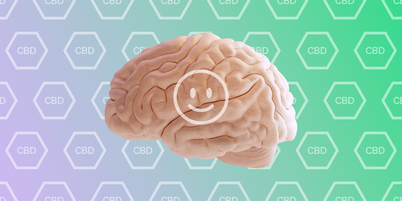 model of human brain with a smiley emoticon