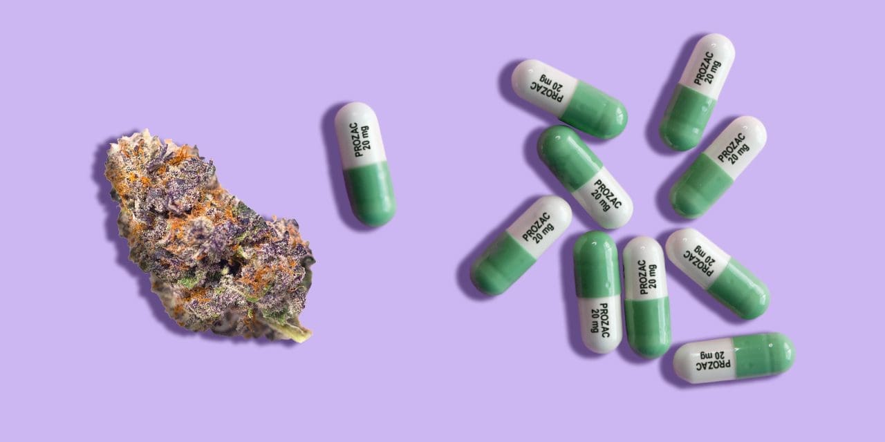 Can You Use Marijuana If You Take Prozac?