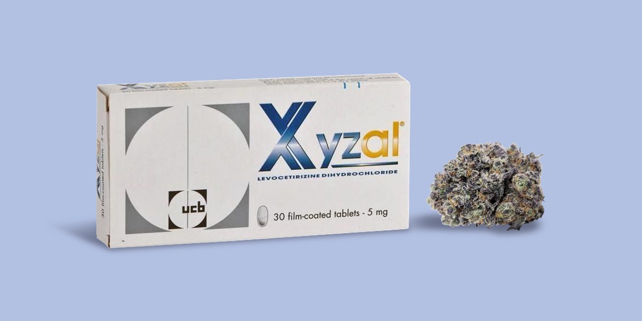 box of xyzal and marijuana