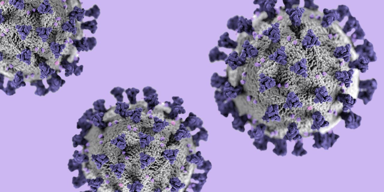 purple spherical virus