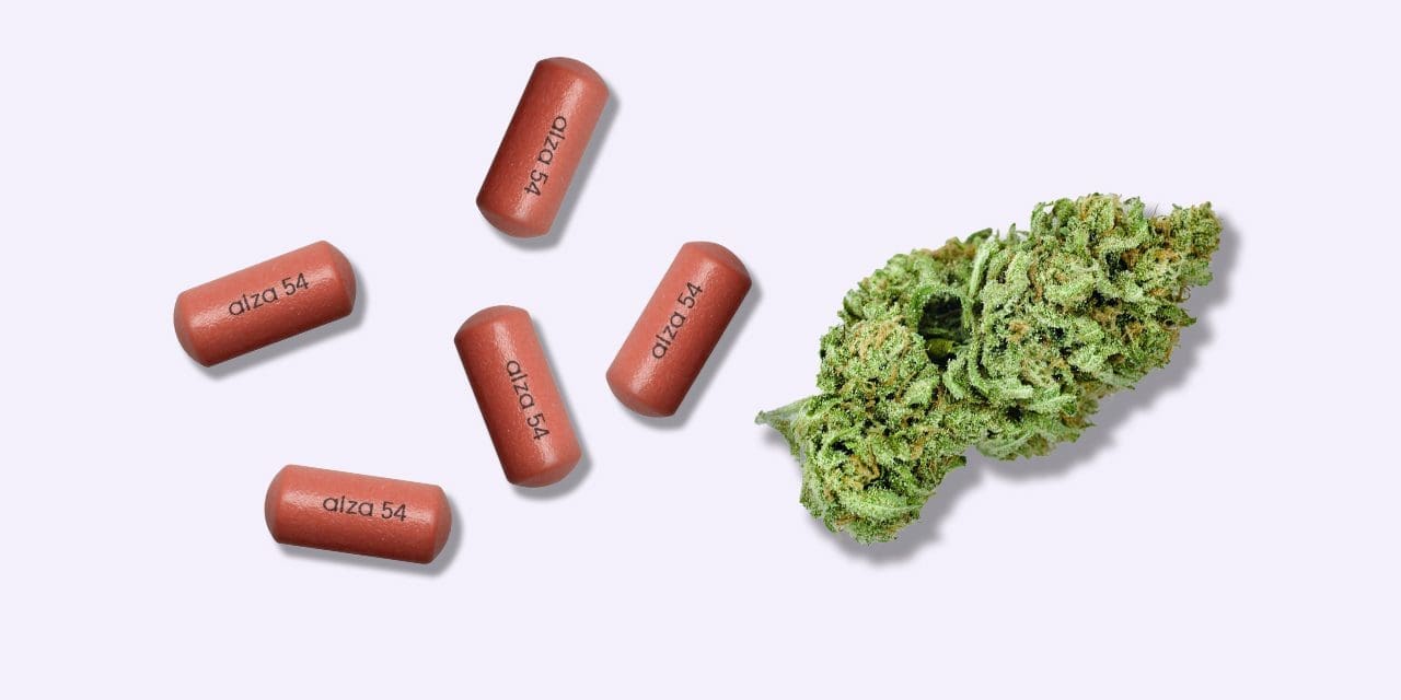 Concerta And Weed Is It Safe To Use Both 