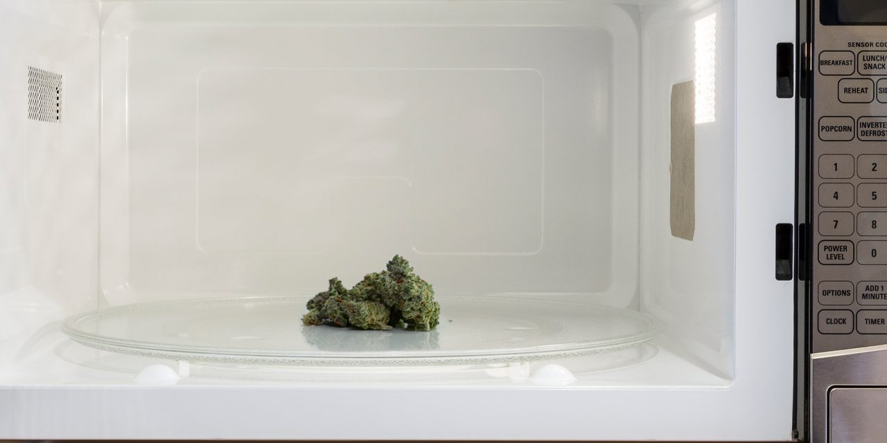 weed inside a microwave