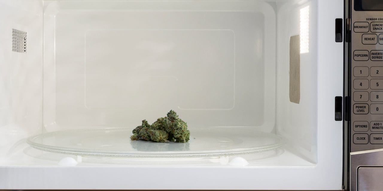 Does Microwaving Weed Make It More Potent?