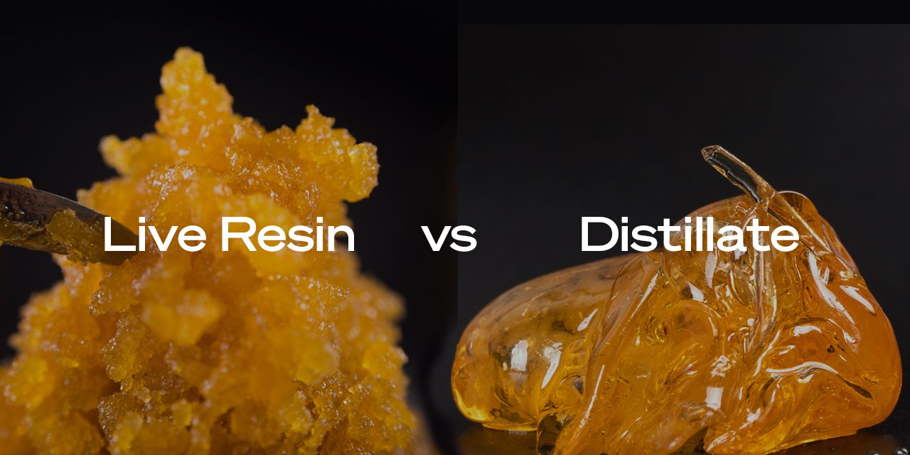 image of live resin and distillate