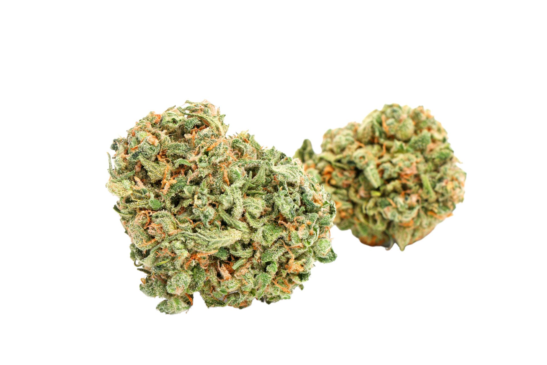 closeup of blue dream marijuana nugget