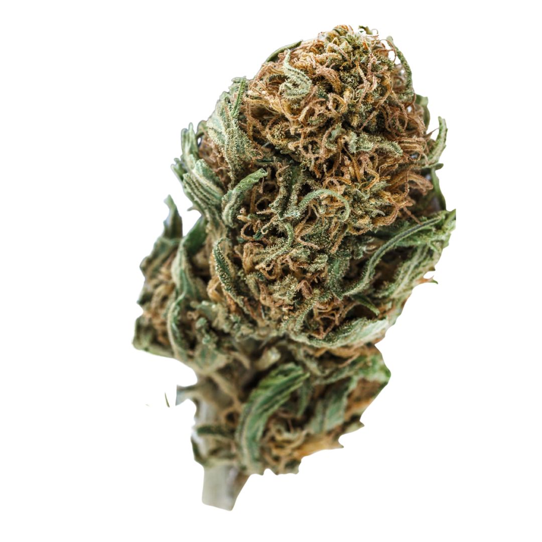closeup of blueberry marijuana nugget