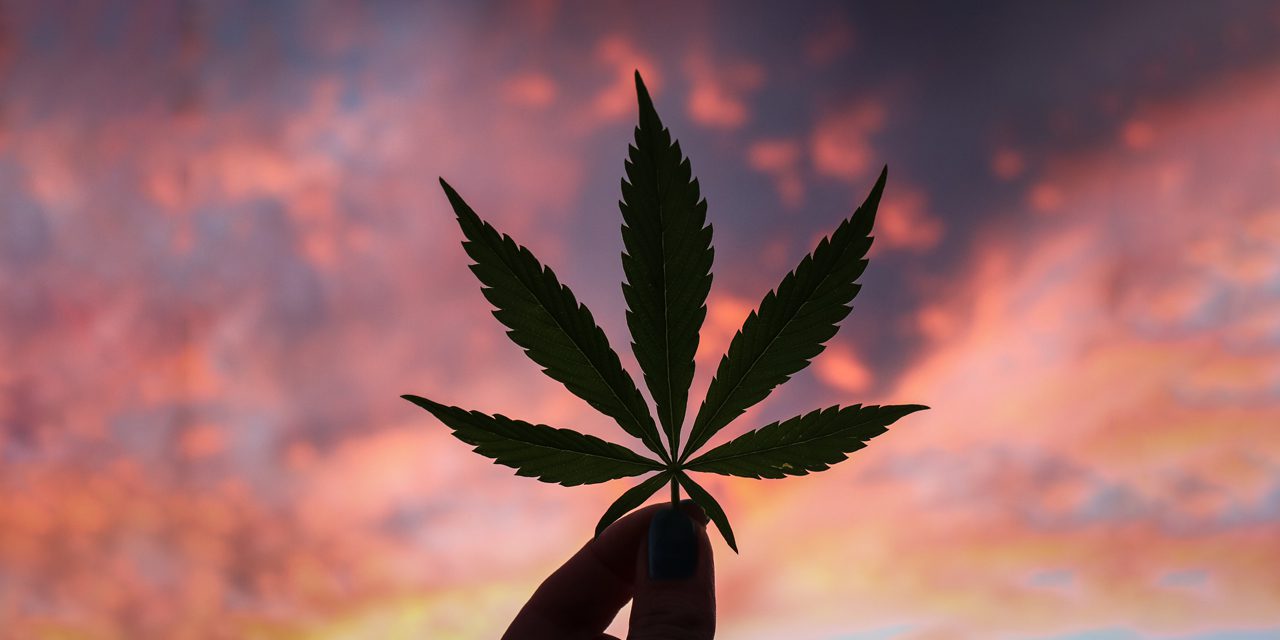 finger holding a marijuana leaf against a setting sun