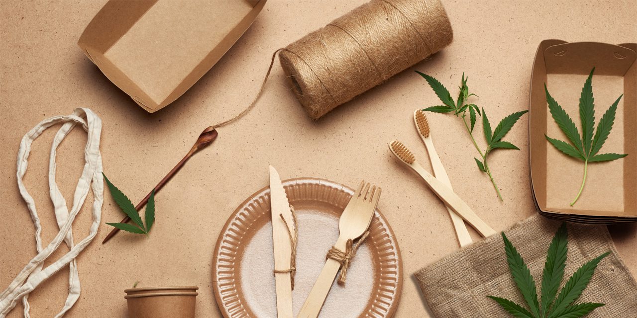 uses of hemp in an image (hemp yarn, fabric, disposable paper plates, spoon and fork, glasses, toothbrush and food containers)