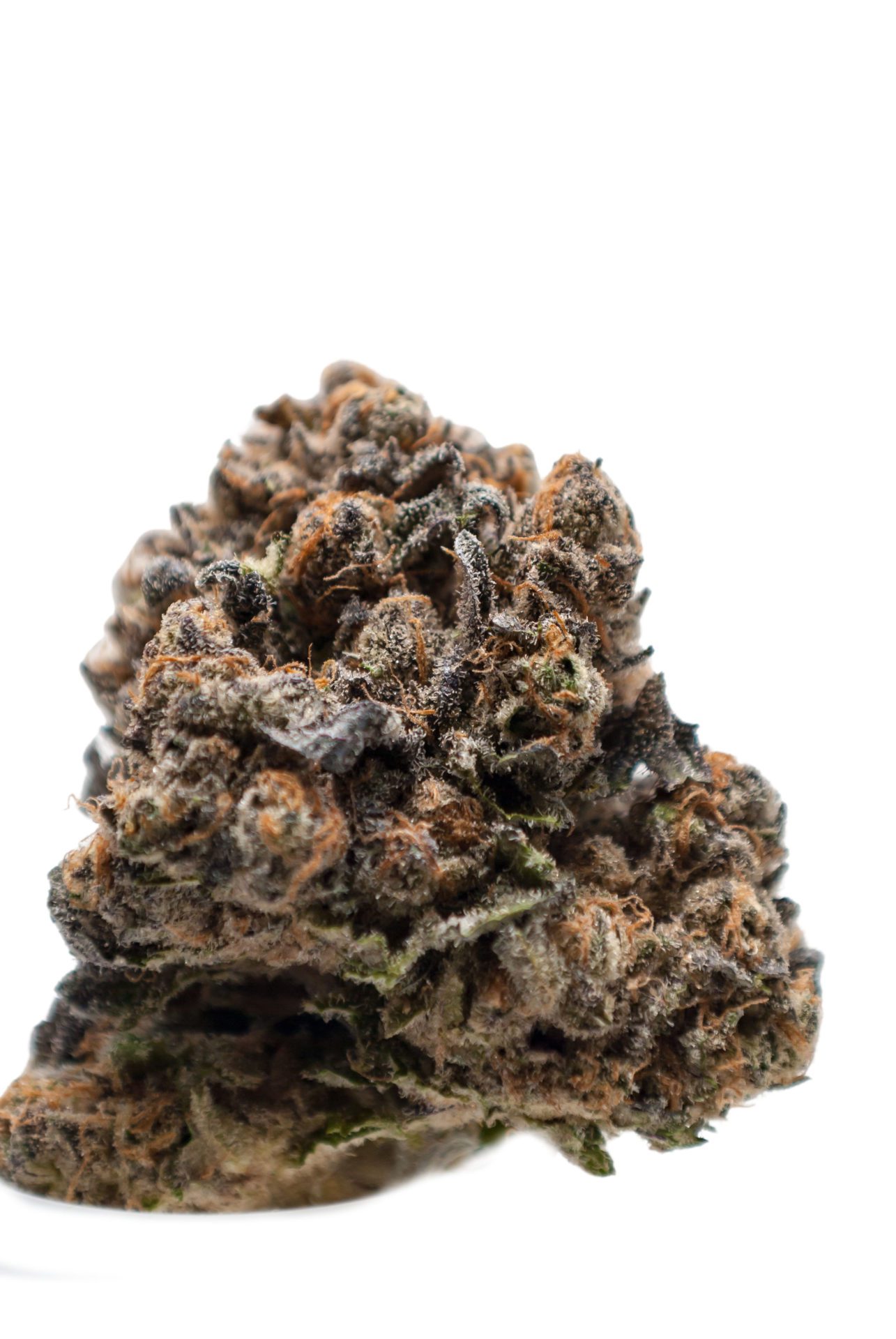 blackberry-pie-marijuana-strain