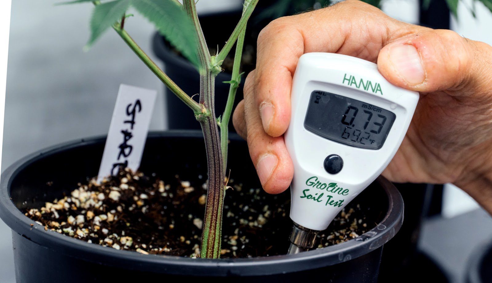 monitoring temperature of a plant