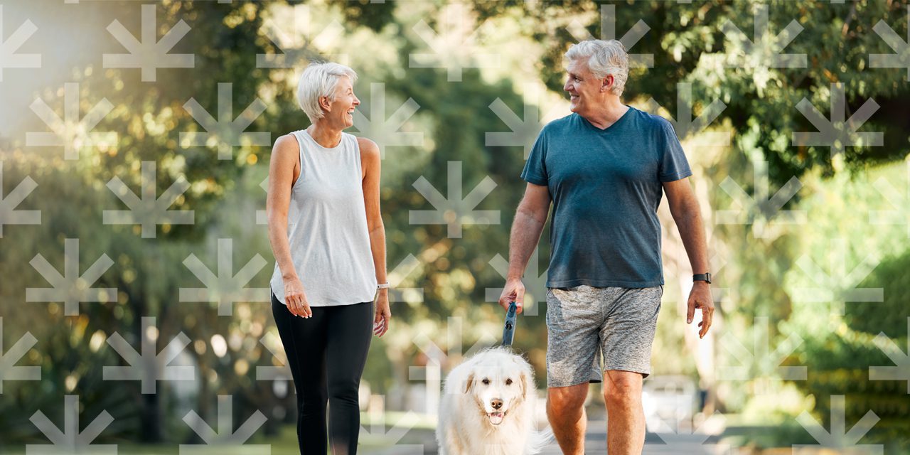 old couple walking with a dog