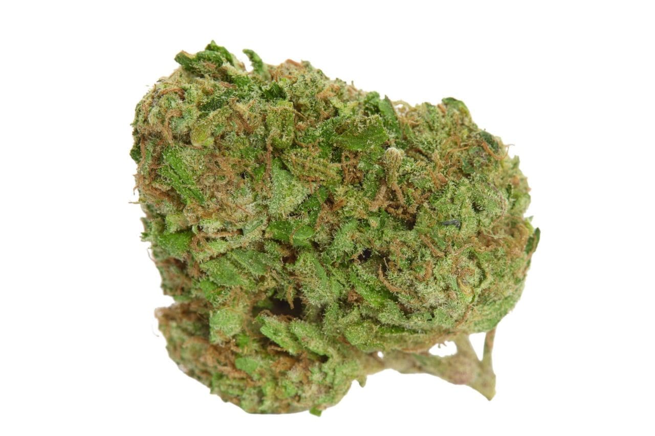 Blood Orange Marijuana Strain