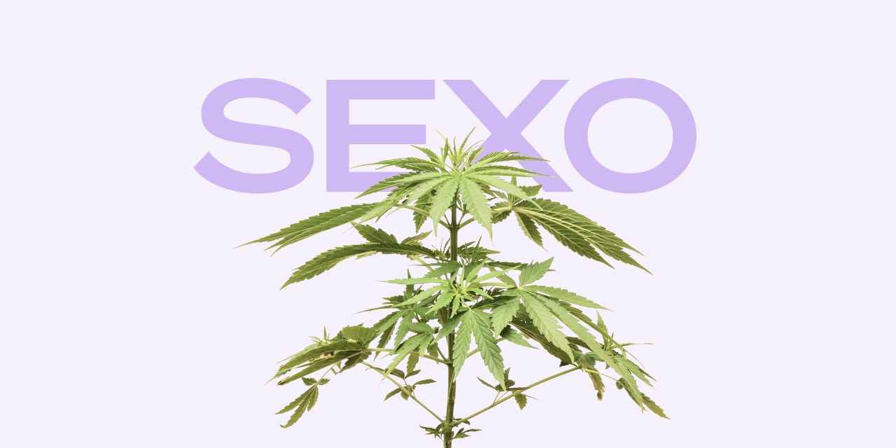 Marihuana y sexo