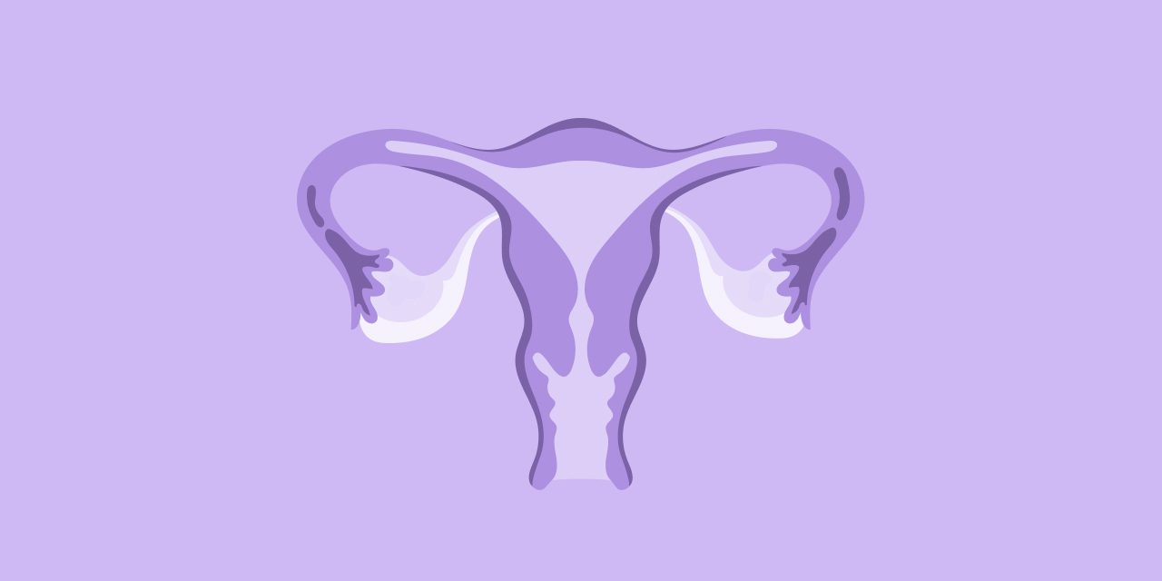 graphical image of an ovary