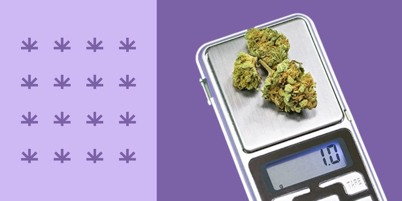 How To: Weigh Weed 