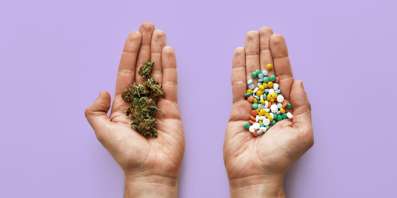 two open hand with weed chunks on the right and different colorful pills on the left