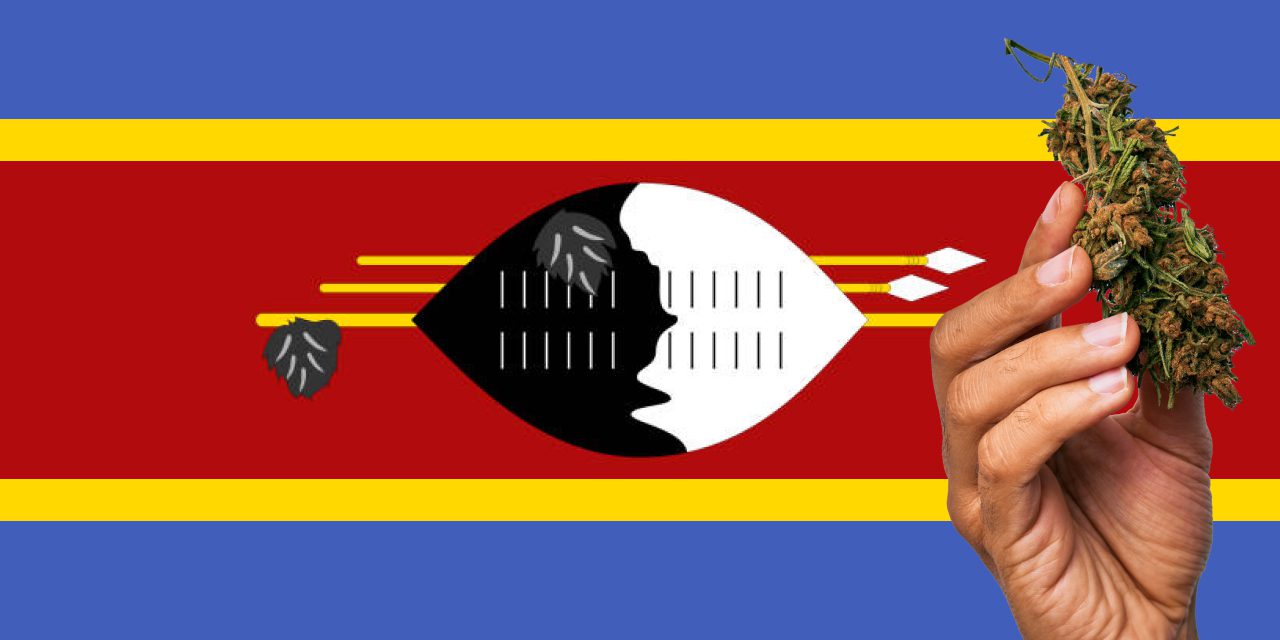 Eswatini flag with a hand holding a marijuana infront of it