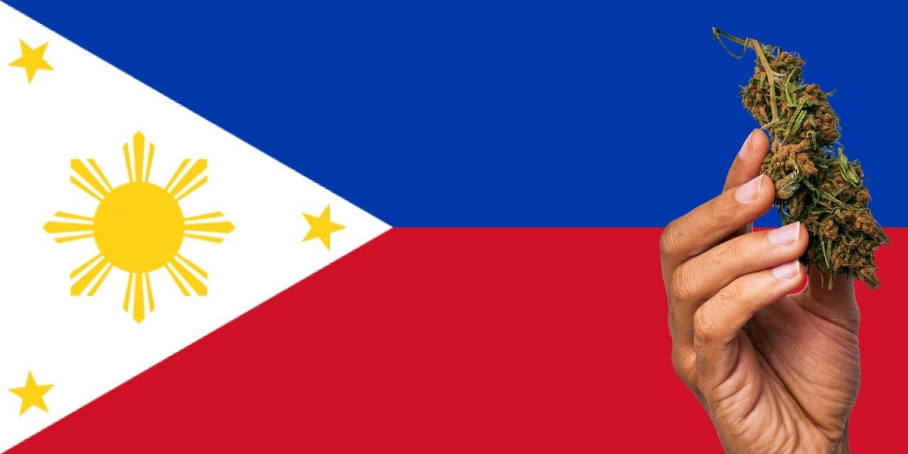 why marijuanas should be legal in the philippines essay