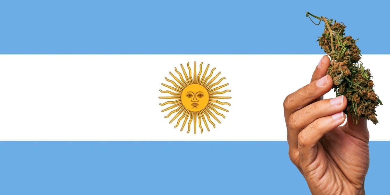 Is Marijuana Legal in Argentina? - Leafwell