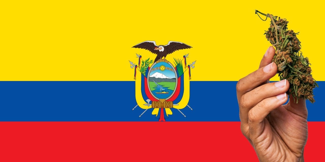 Is Marijuana Legal in Ecuador?
