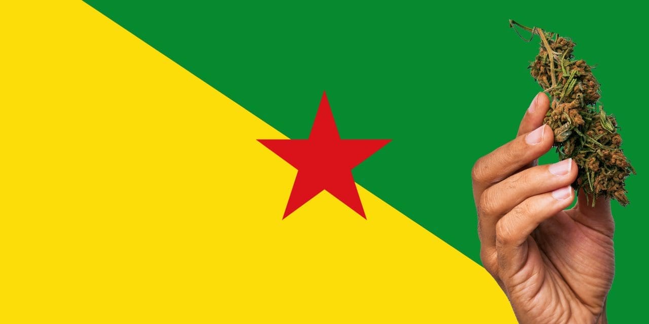 is-marijuana-legal-in-french-guiana