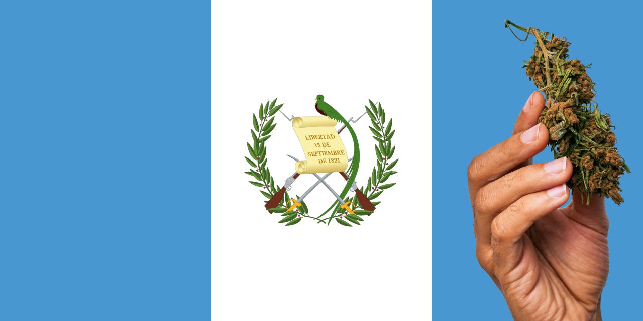 Guatemala flag with a hand holding a marijuana infront of it
