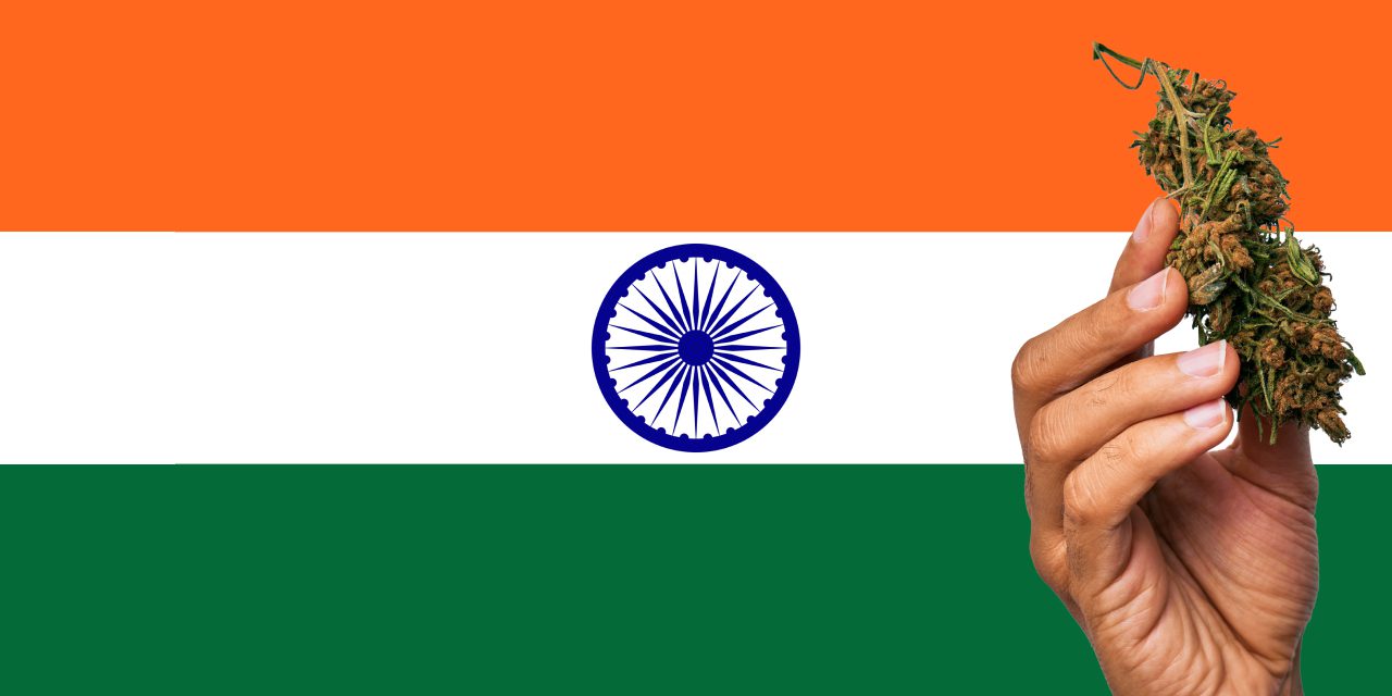 India flag with a hand holding a marijuana infront of it