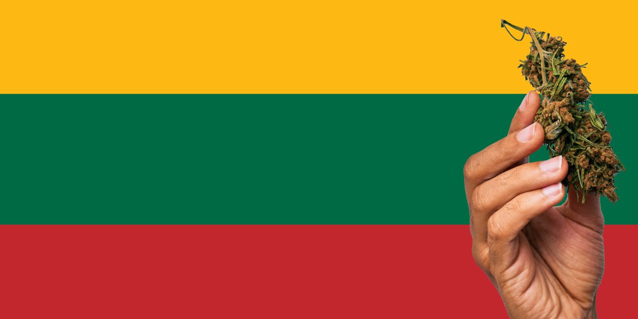 Lithuania flag with a hand holding a marijuana infront of it