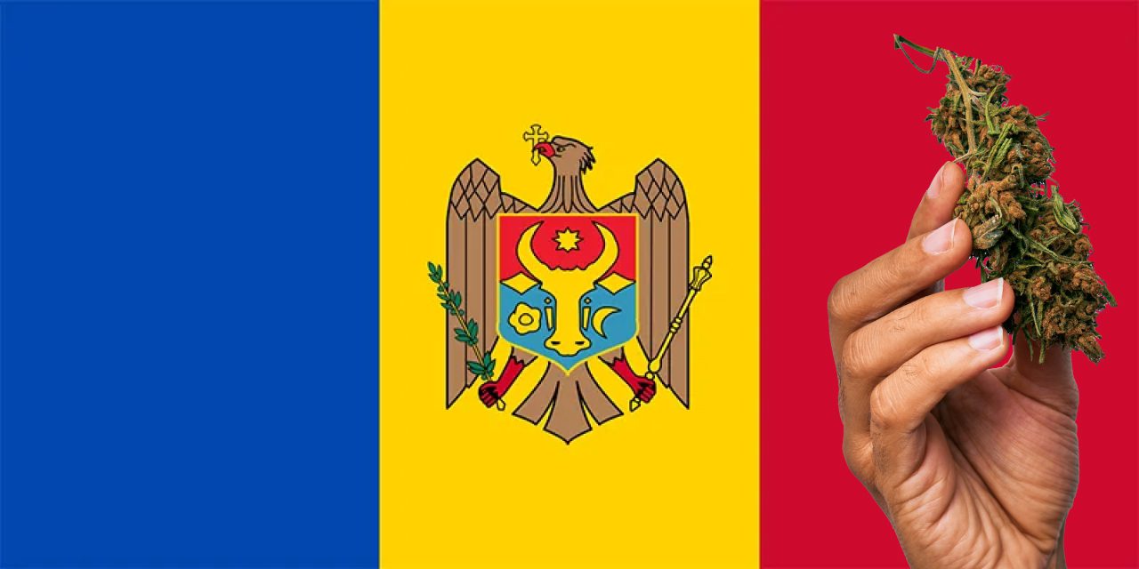 Moldova flag with a hand holding a marijuana infront of it