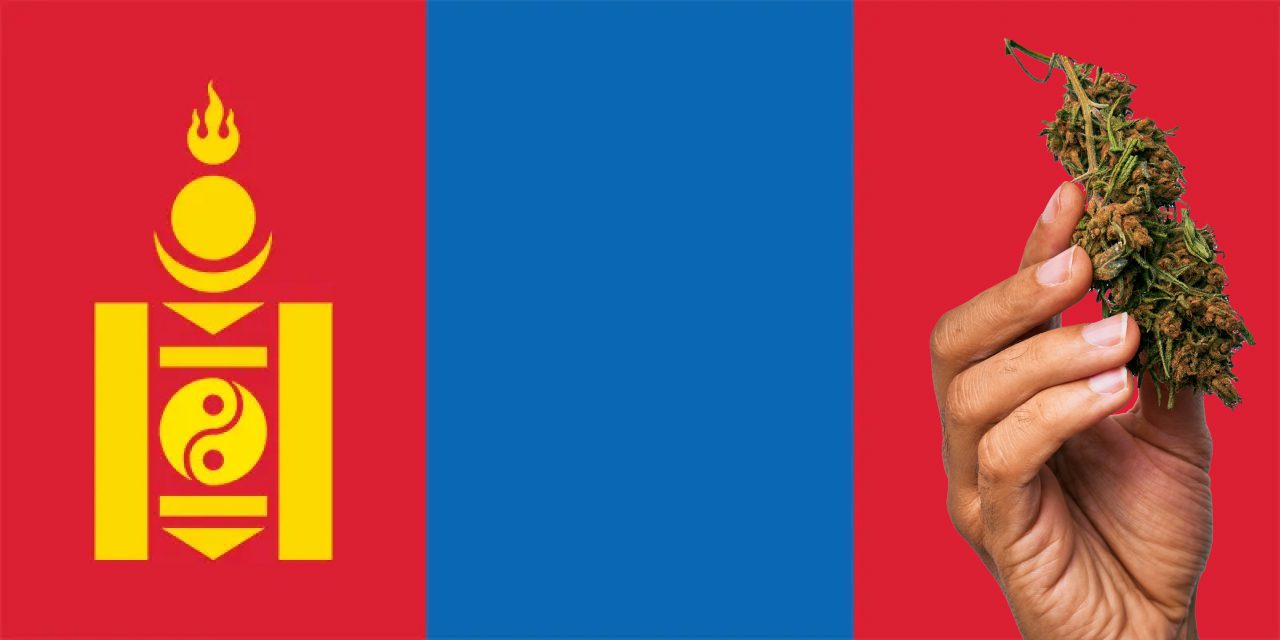 Mongolia flag with a hand holding a marijuana infront of it
