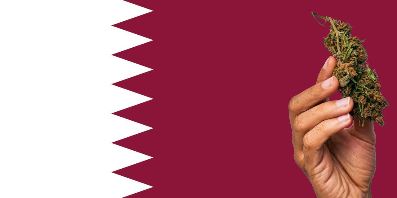 elfbar elfa master akku Qatar confiscates vapes from 12-24% of travelers at Doha arrivals, issuing  fines up to QAR 10,000 (€2,500). The ban applies equally to transit  passengers connecting through Hamad International — even if you main image 0