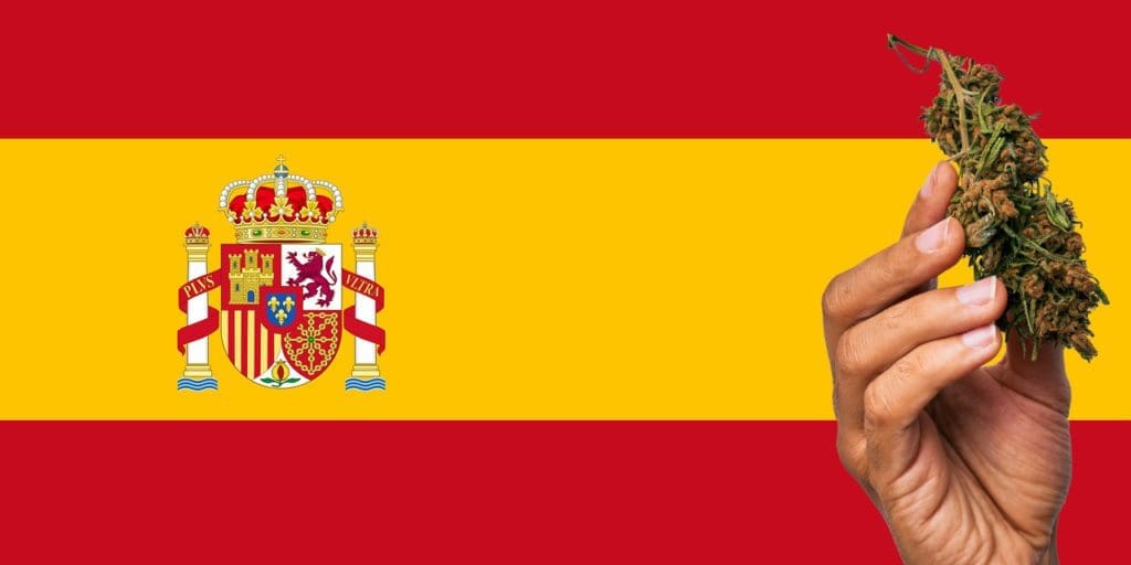 Is Marijuana Legal in Spain - Leafwell
