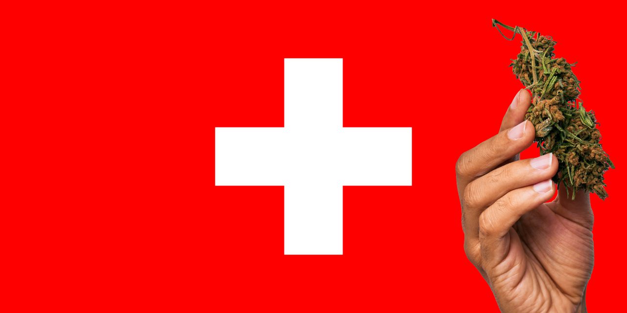 Switzerland flag with a hand holding a marijuana infront of it