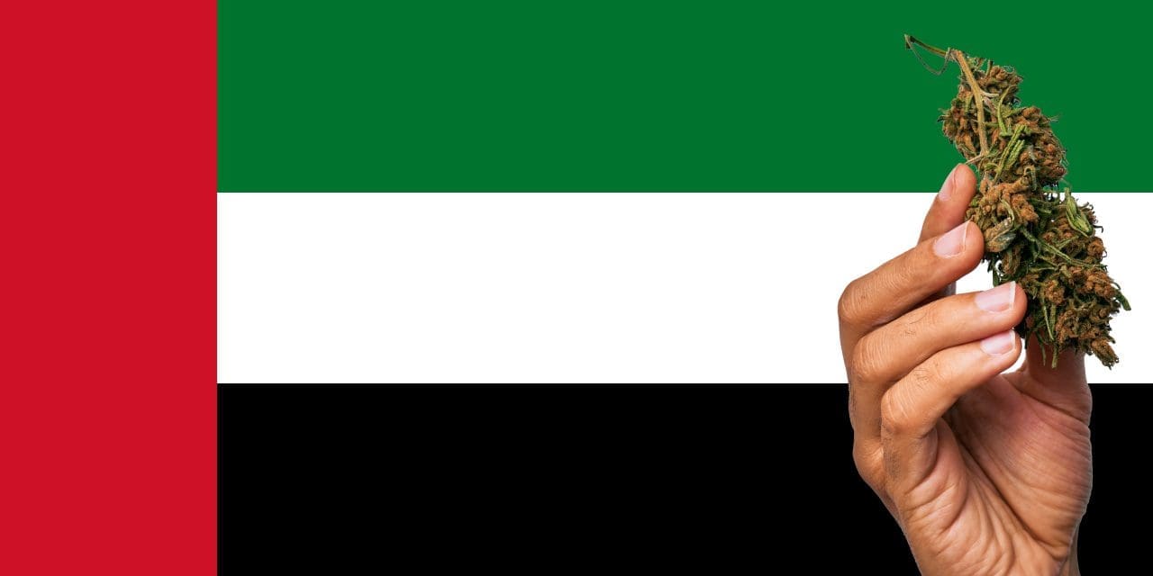 Is Marijuana Legal in The United Arab Emirates?