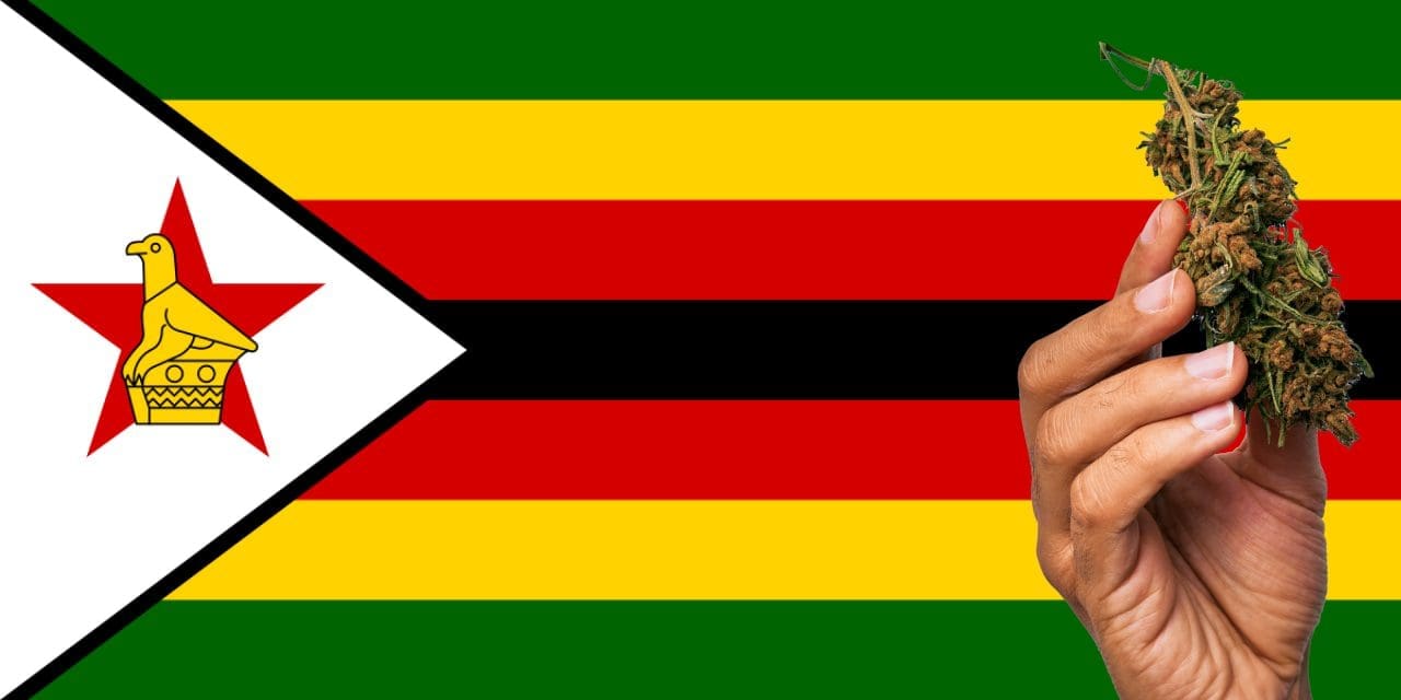 is-marijuana-legal-in-zimbabwe